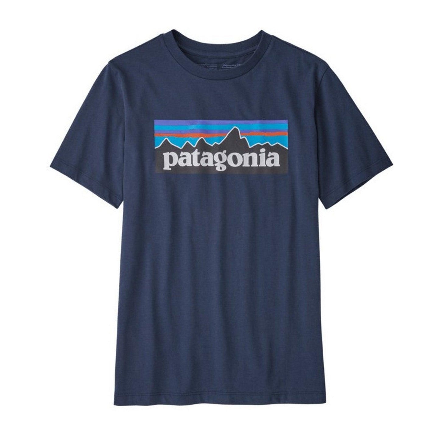 T-shirt Ragazzi Unisex Patagonia - K's Regenerative Org. Certif. Cotton P­6 Logo Tee - Blu