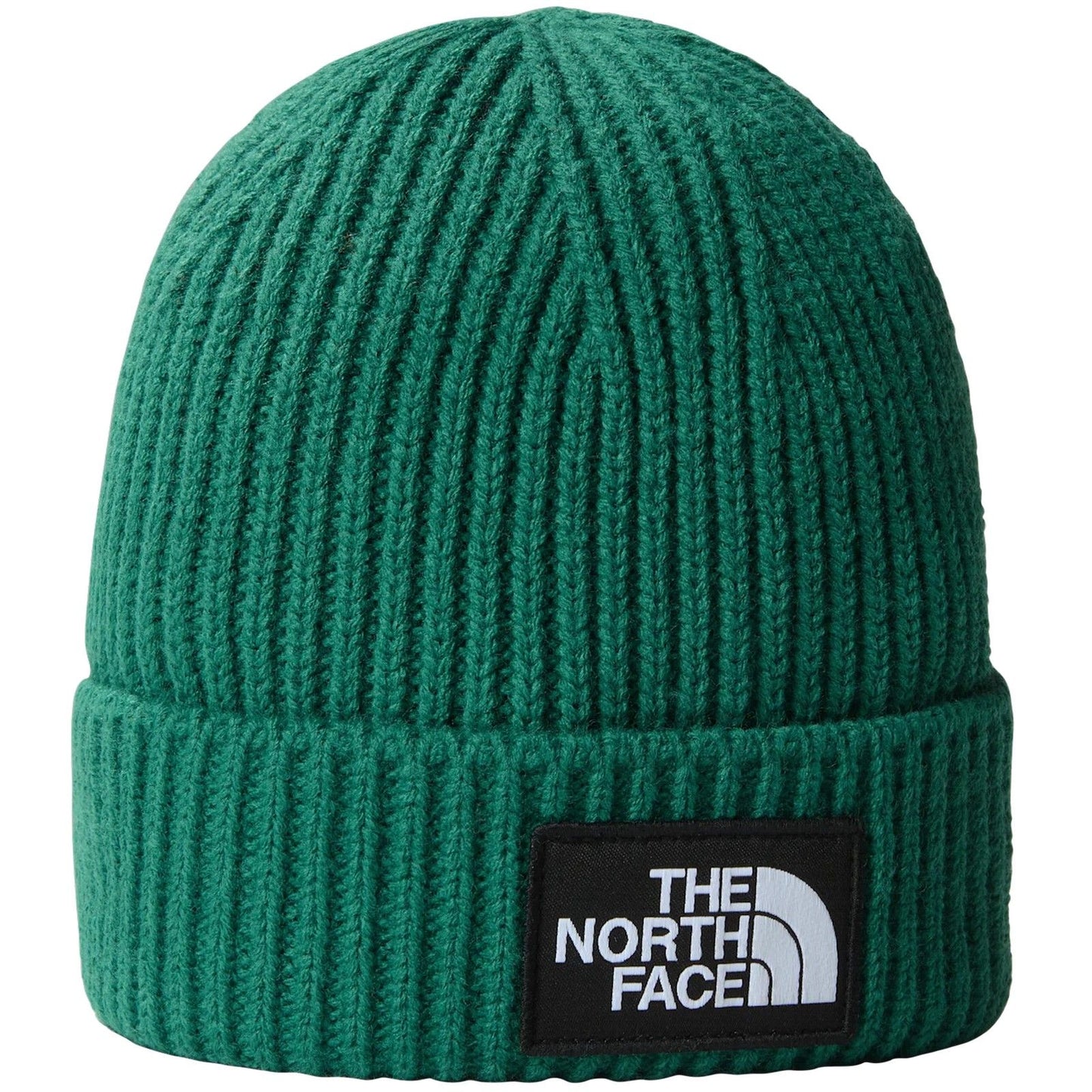 Berretti in maglia Unisex The North Face - Tnf Log Box Cuf Bne - Verde