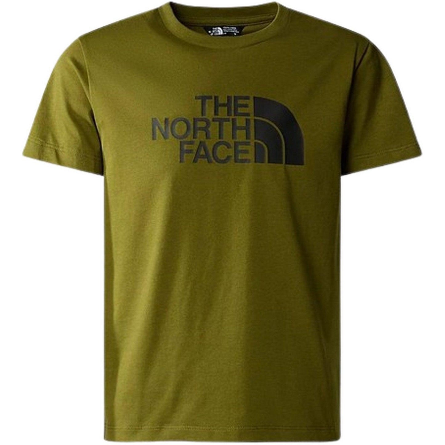 T-shirt Ragazzo The North Face - Kids B S/S Easy Tee - Verde