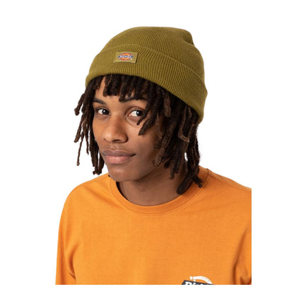 Berretti in maglia Uomo Dickies - Gibsland Beanie - Verde