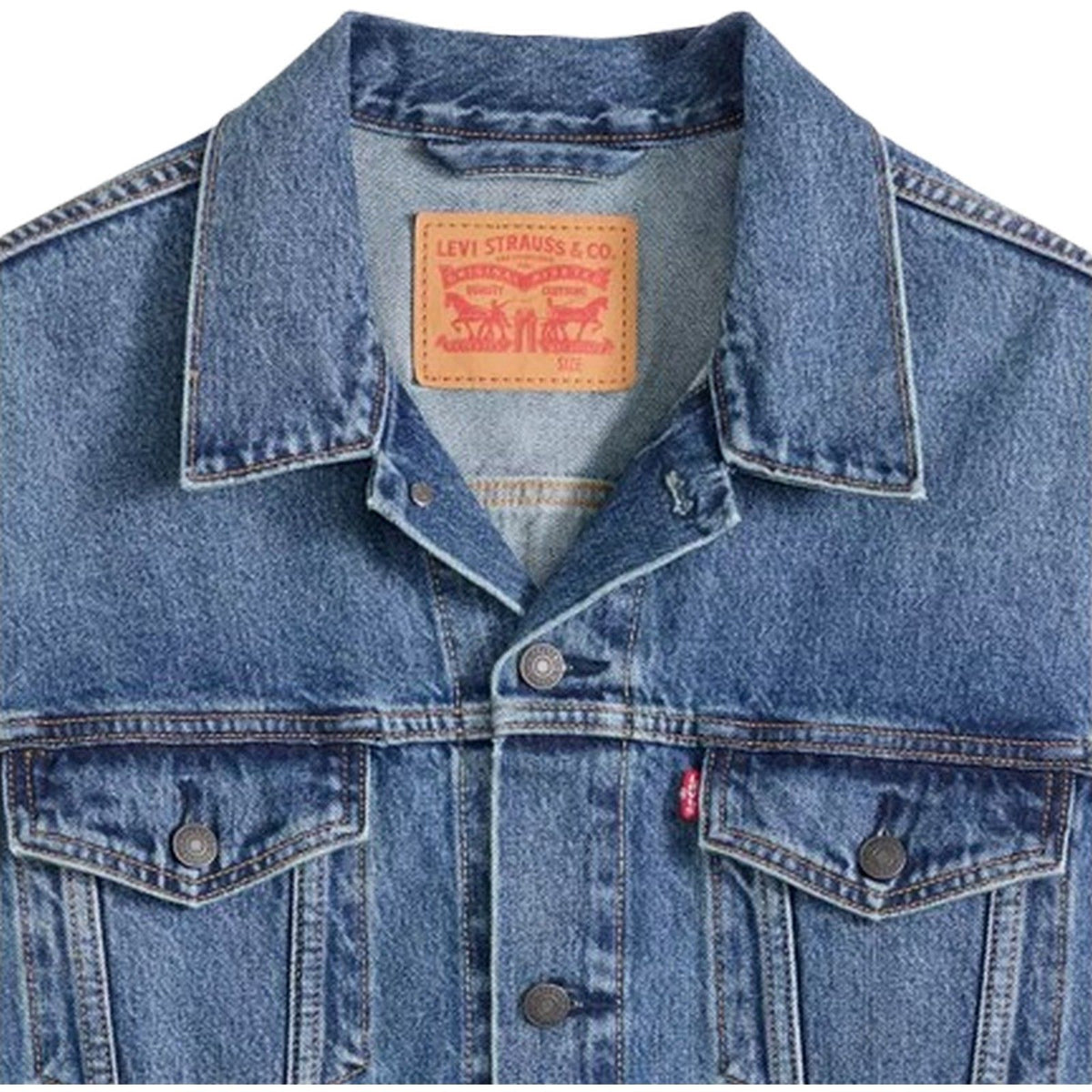 Maglie Uomo Levi's - Relaxed Fit Trucker Pacific Activities T - Multicolore