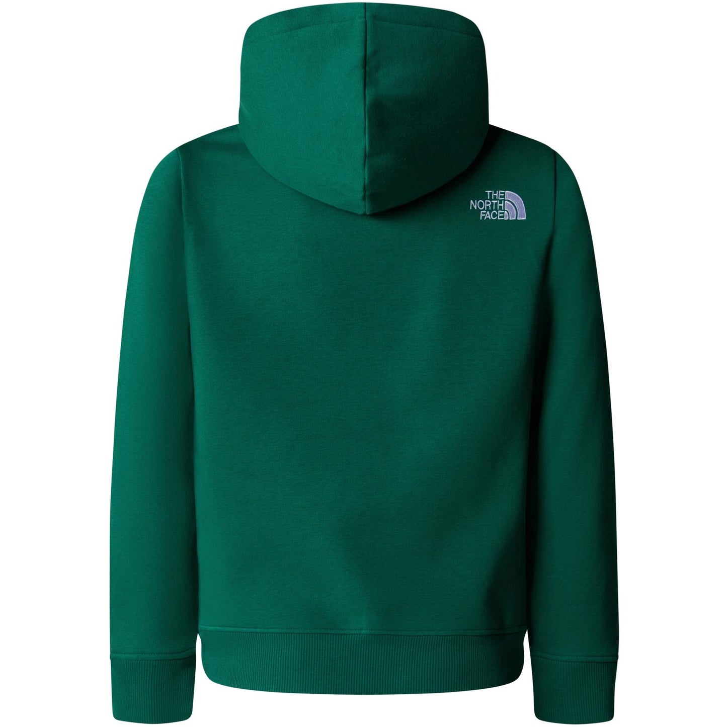 Felpe con cappuccio Ragazzo The North Face - B Drew Peak P/O Hoodie - Verde