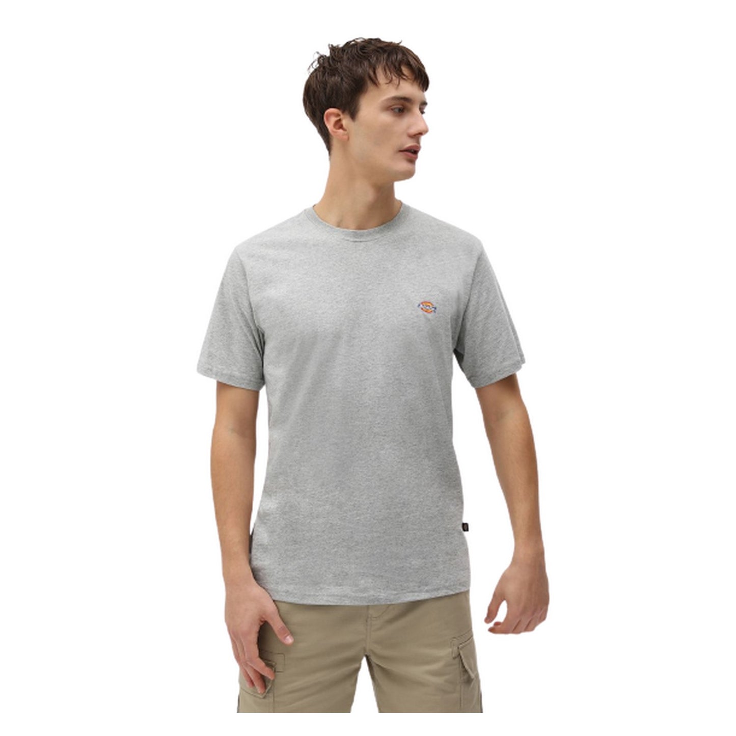 T-shirt Uomo Dickies - Ss Mapleton T-Shirt - Grigio