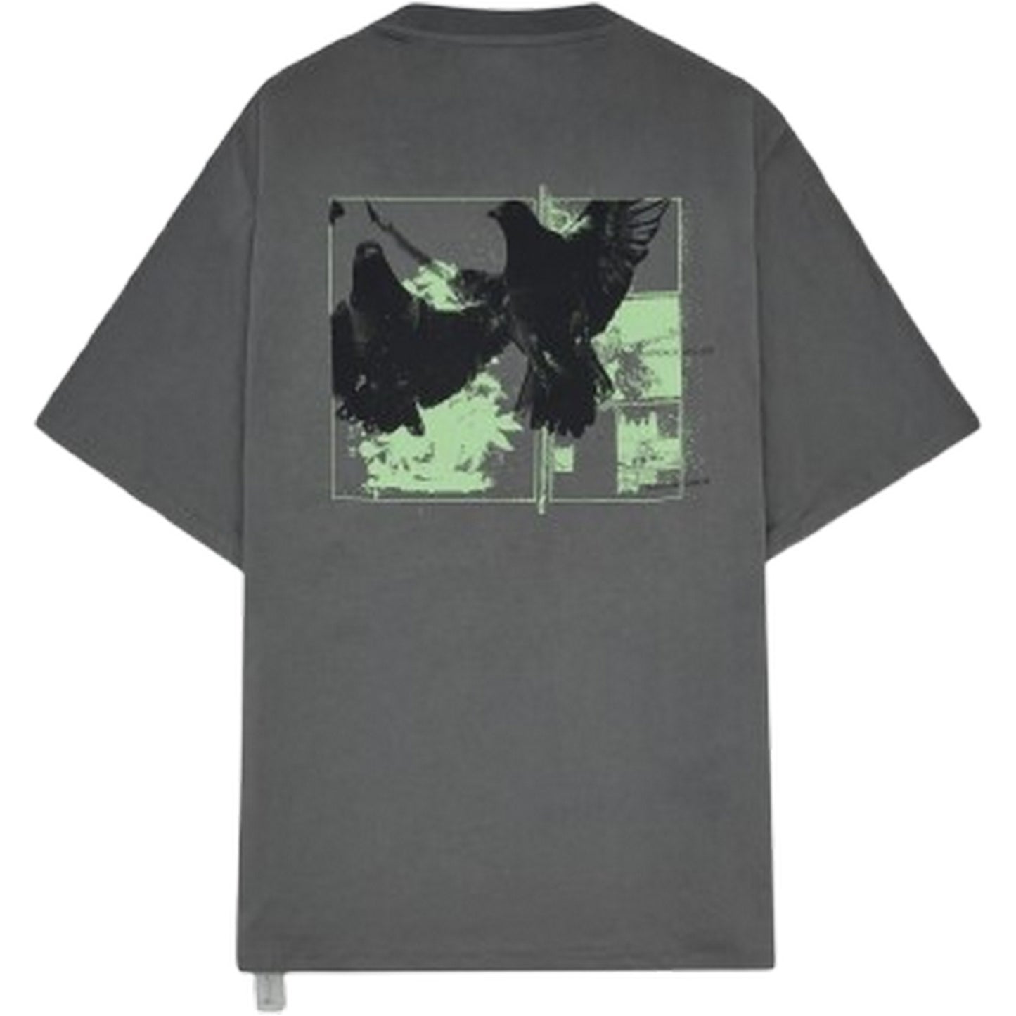 T-shirt Uomo OAMC Peacemaker - Regular Tee Birds Print - Grigio