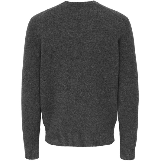 Maglie a manica lunga Uomo Only & Sons - Onsray Reg Ls Crew Knit Frml - Grigio