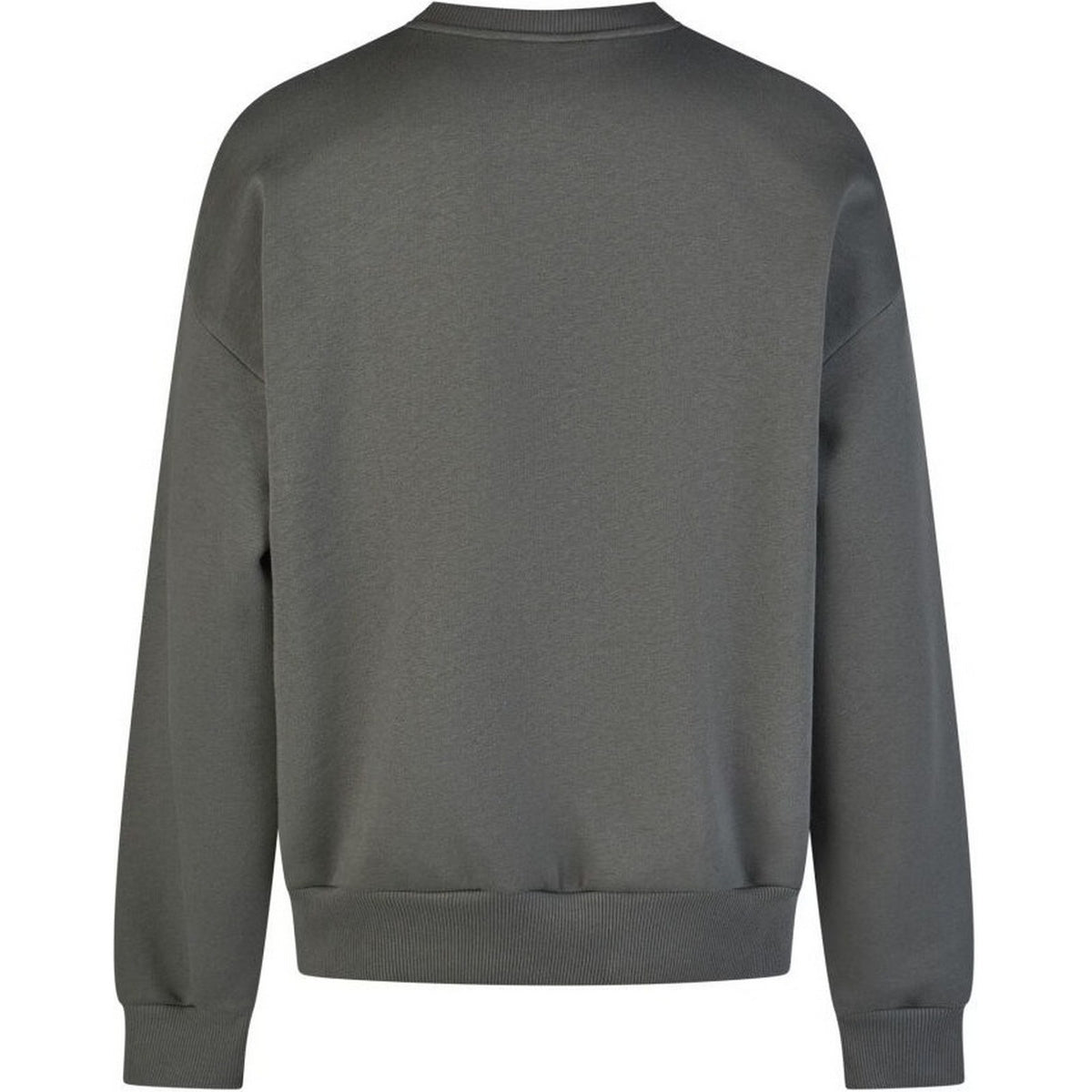 Felpe senza cappuccio Uomo Iriedaily - Flagloose Crewneck - Grigio