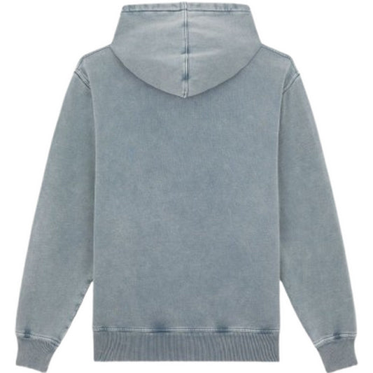 Felpe con cappuccio Uomo Dickies - Plentywood Hoodie - Blu