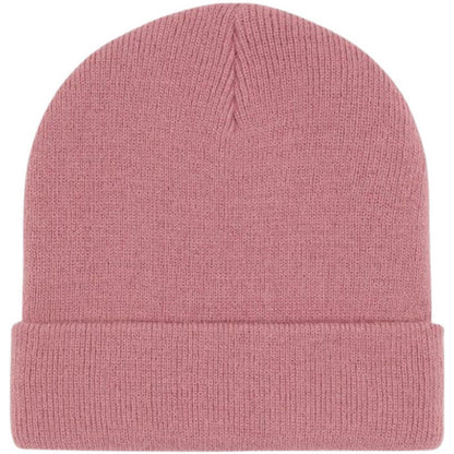 Berretti in maglia Uomo Dickies - Gibsland Beanie - Rosa