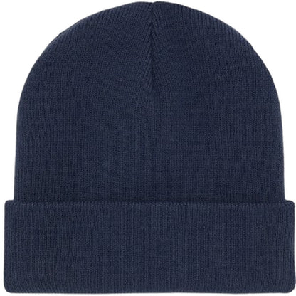 Berretti in maglia Uomo Dickies - Gibsland Beanie - Blu