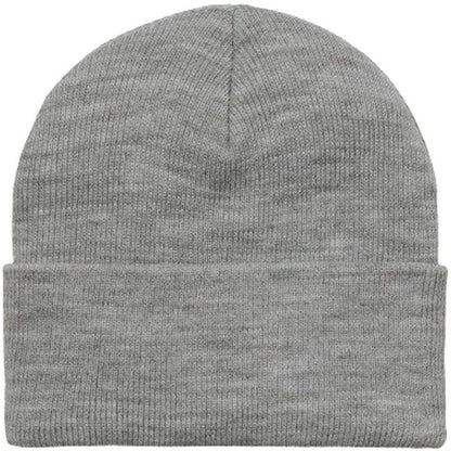Berretti in maglia Unisex Carhartt Wip - Chase Beanie - Grigio