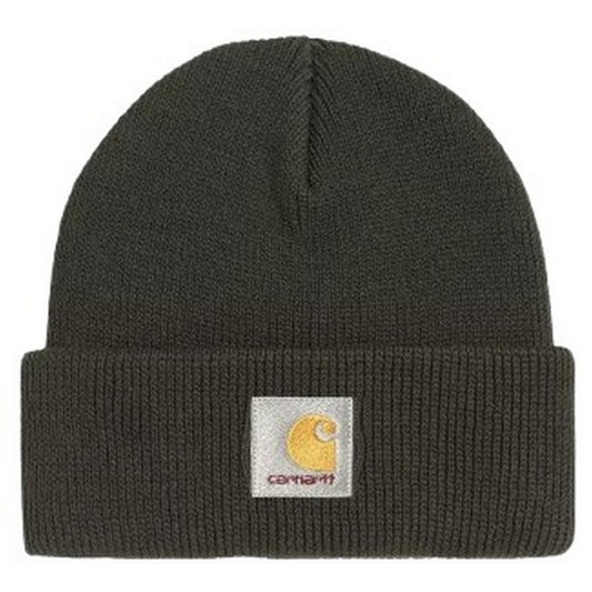 Berretti in maglia Uomo Carhartt Wip - Ohio Beanie - Verde