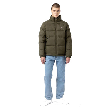 Chaquetas de plumas para hombre Dickies Waldenburg Verde