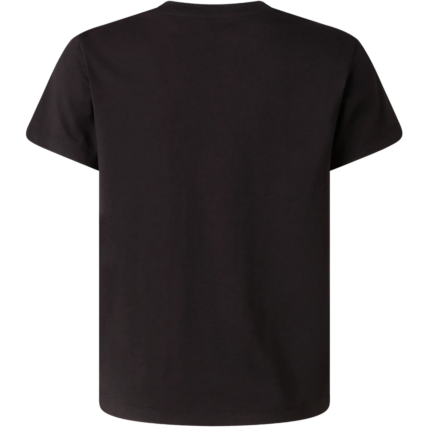 T-shirt Bambino The North Face - B Liquid Logo Reg Ss Tee Tnf White - Nero