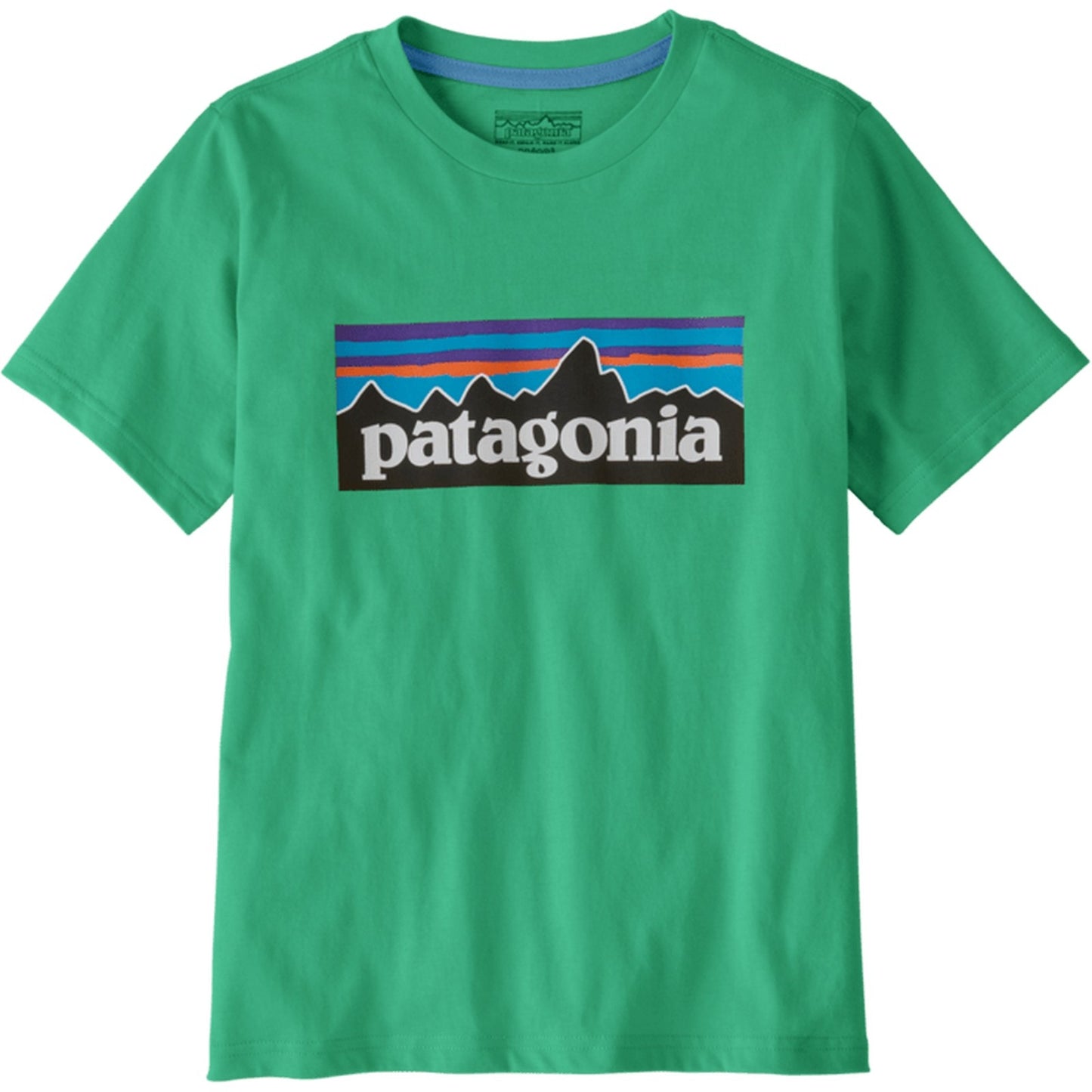 T-shirt Ragazzi Unisex Patagonia - K's P-6 Logo T-Shirt - Celeste