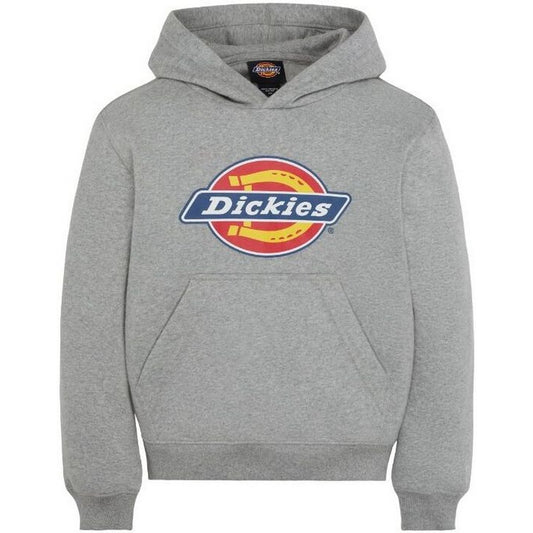 Felpe con cappuccio Ragazzi Unisex Dickies - Youth Logo Hoodie - Grigio