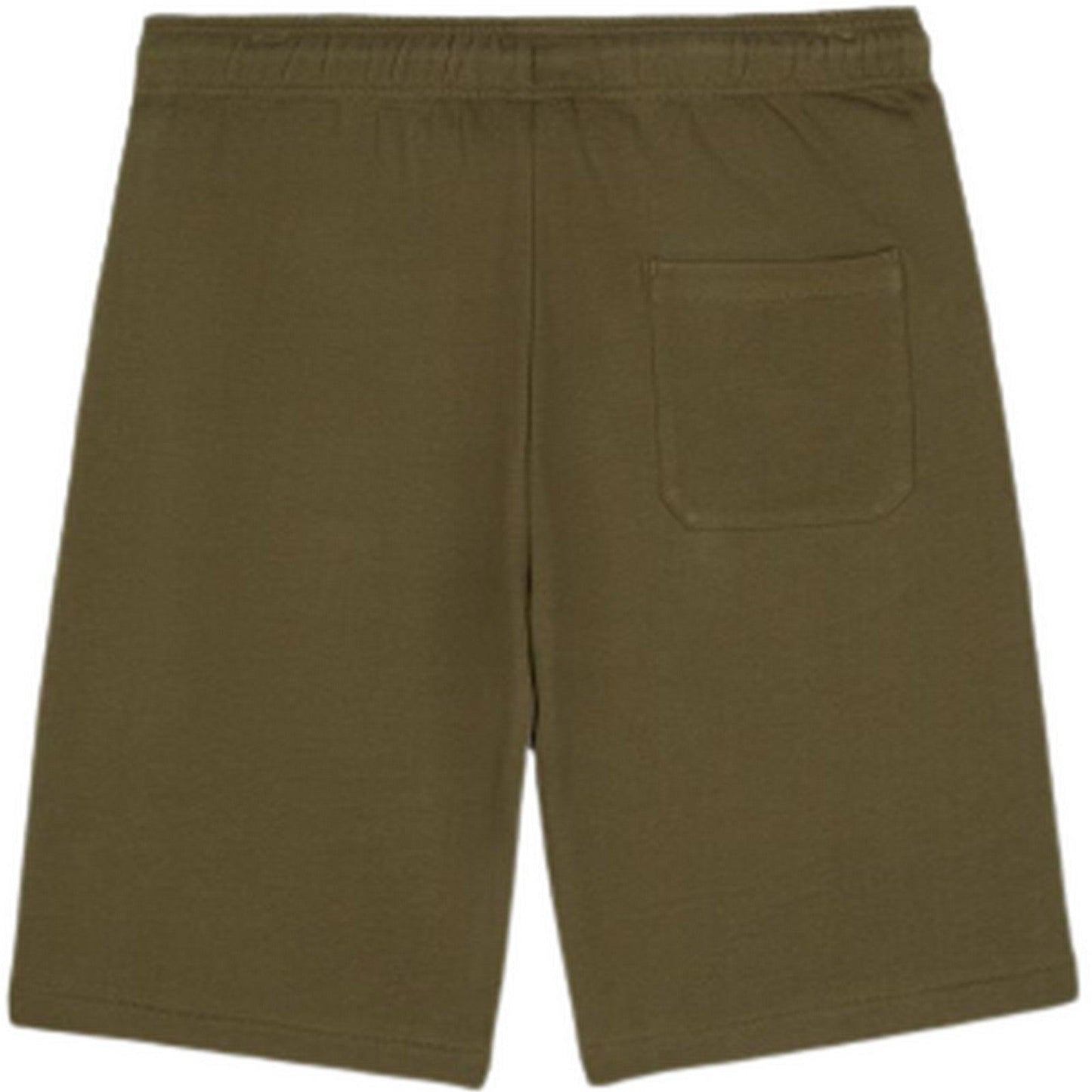 Bermuda Uomo Dickies - Mapleton Short - Verde