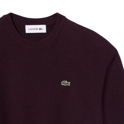 Maglioni Donna Lacoste - Pullovers - Marrone