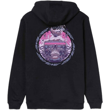 Santa Cruz Boys Hoodies - Wooten Cyber Hood - Black
