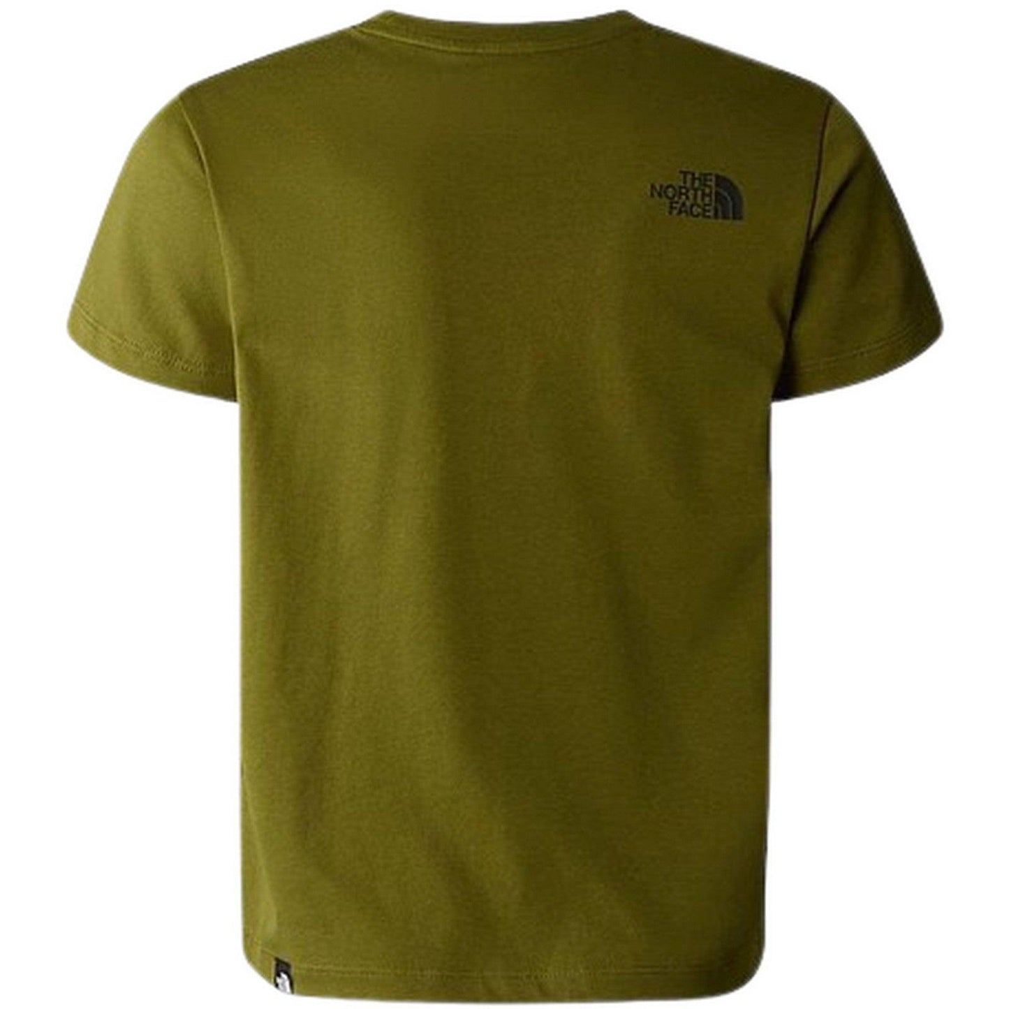 T-shirt Ragazzo The North Face - Kids B S/S Easy Tee - Verde