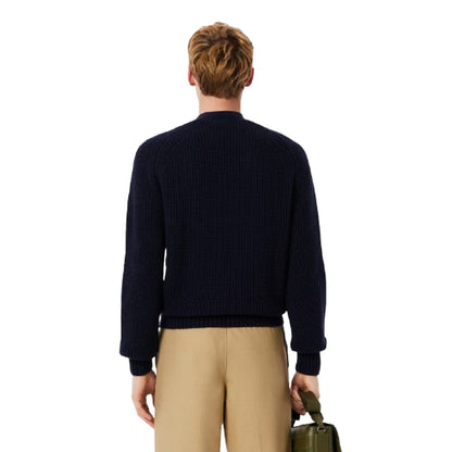 Maglioni Uomo Lacoste - Pullovers - Blu