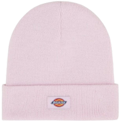 Berretti in maglia Uomo Dickies - Gibsland Beanie - Rosa