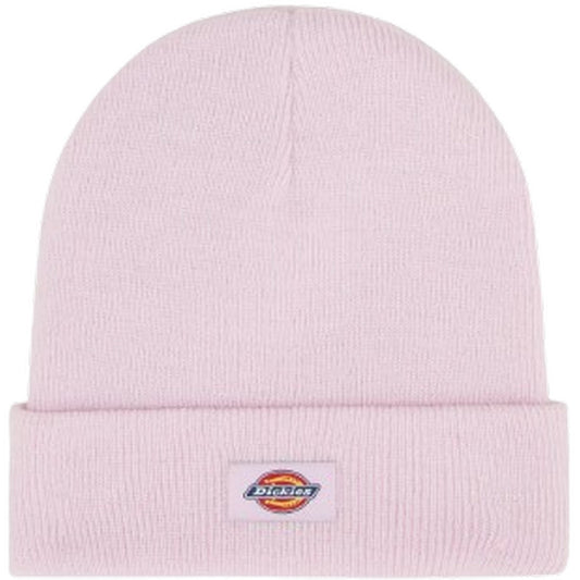 Berretti in maglia Uomo Dickies - Gibsland Beanie - Rosa