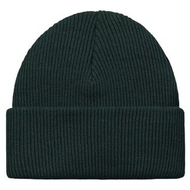 Berretti in maglia Unisex Carhartt Wip - Gordan Beanie - Verde