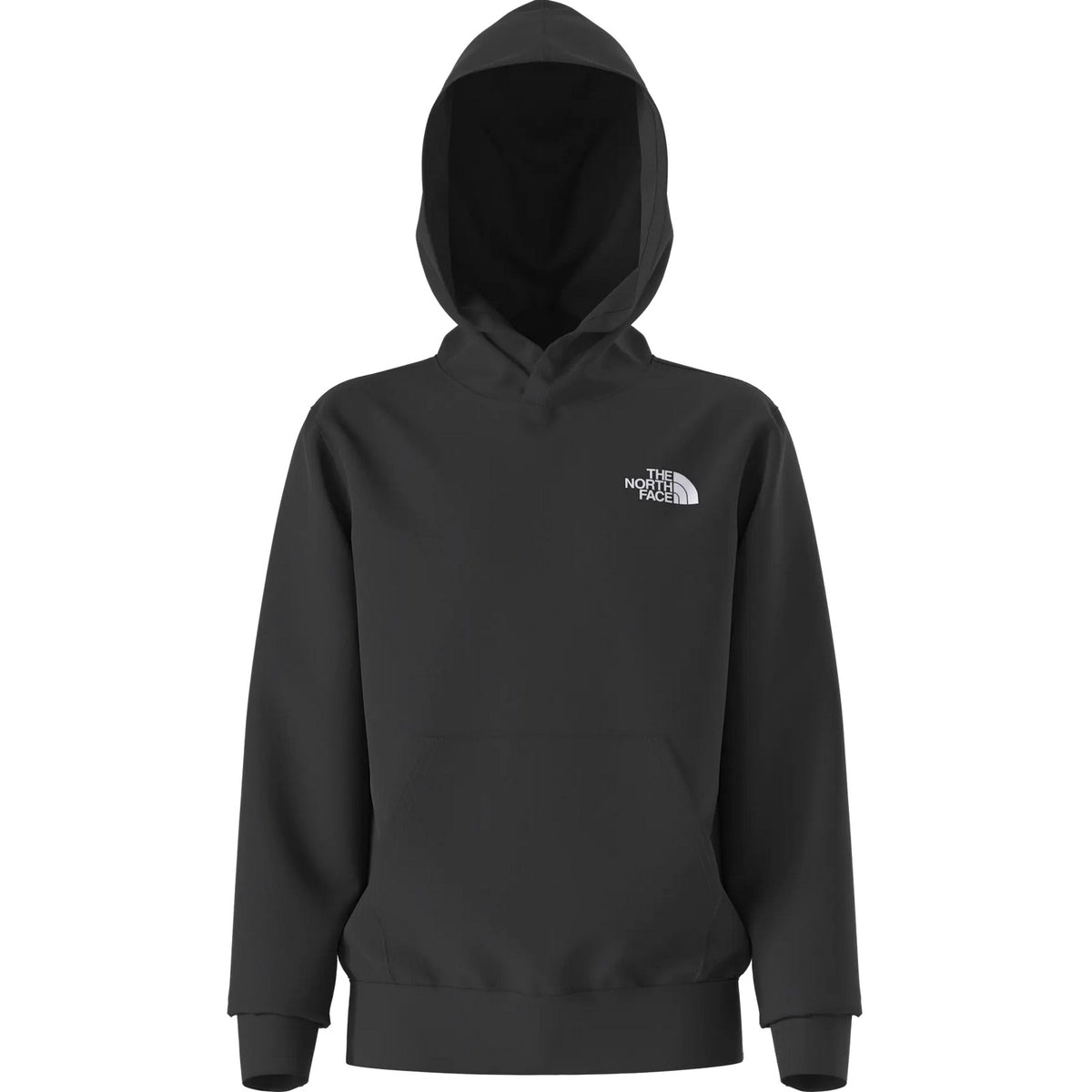 Felpe con cappuccio Ragazzi Unisex The North Face - Teen Evoltn Box Nse Hdy - Nero