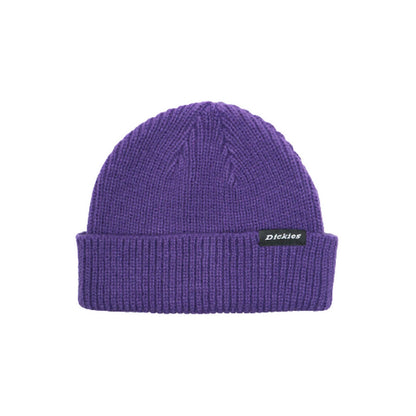 Berretti in maglia Uomo Dickies - Woodworth Beanie - Viola