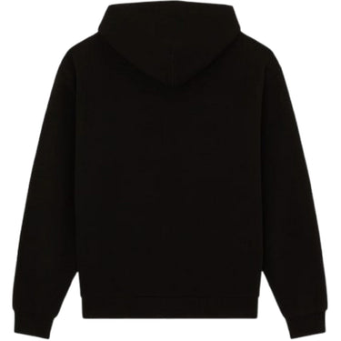 Felpe con cappuccio Uomo Dickies - Fostoria Fz Hoodie - Nero