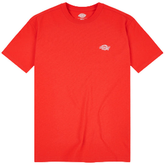 T-shirt Uomo Dickies - Summerdale Tee Ss - Arancione