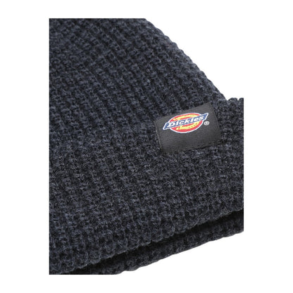 Berretti in maglia Unisex Dickies - Woodworth Waffle Beanie - Blu