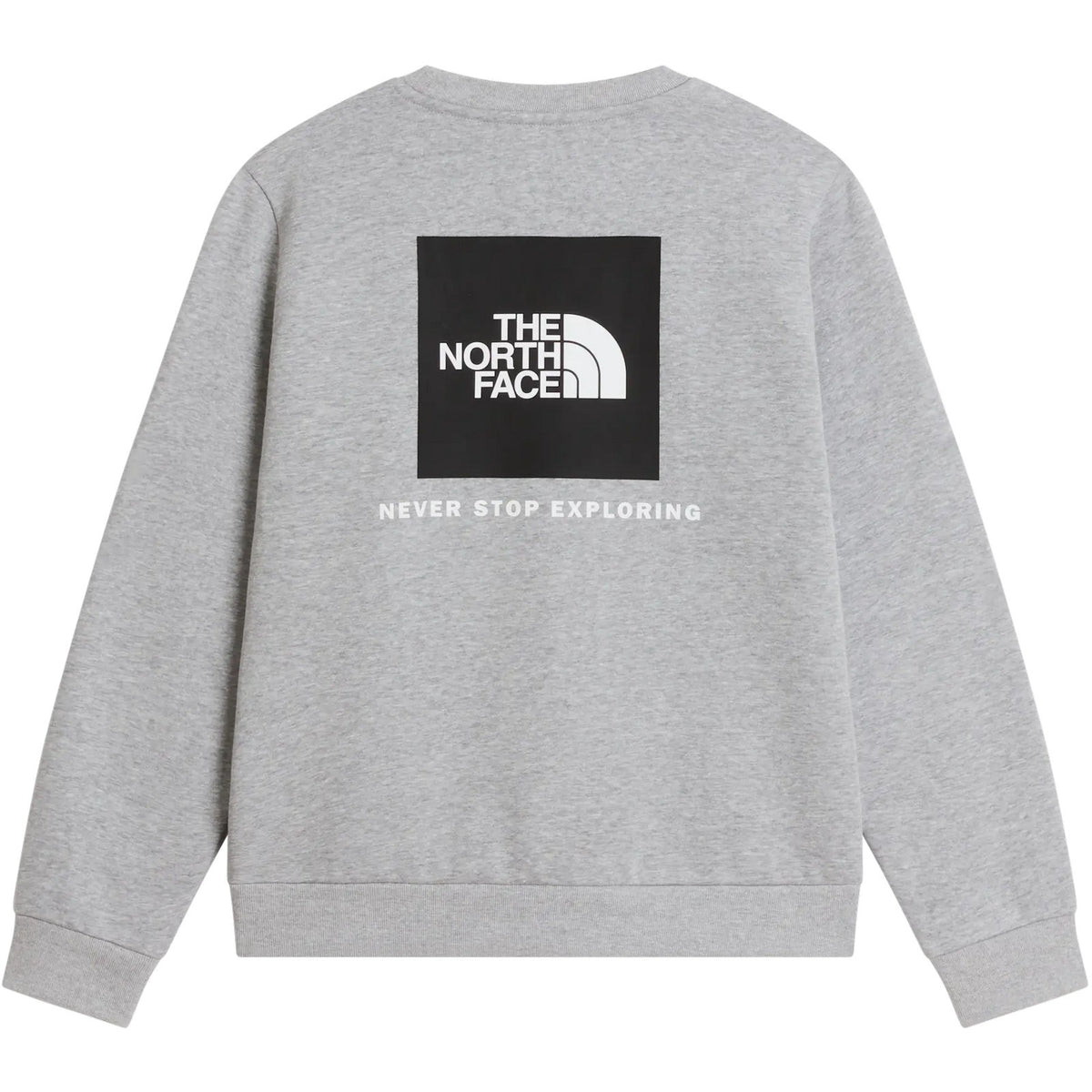Felpe senza cappuccio Ragazzi Unisex The North Face - Teen Evo Box Nse Crew - Grigio