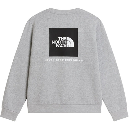 Felpe senza cappuccio Ragazzi Unisex The North Face - Teen Evo Box Nse Crew - Grigio