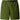 Pantaloncini Uomo The North Face - M TNF Red Box Nylon Belted Short - Verde