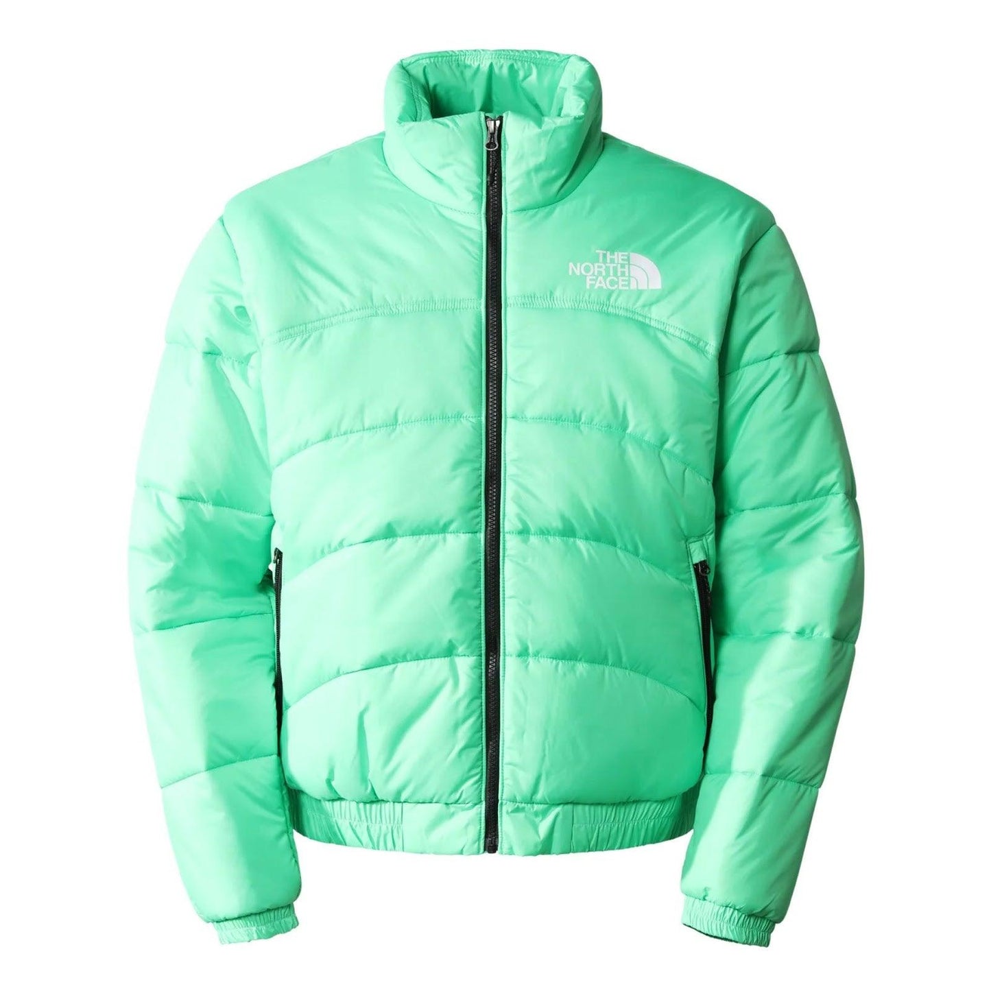 Piumini Uomo The North Face - M Tnf Jacket 2000 - Verde