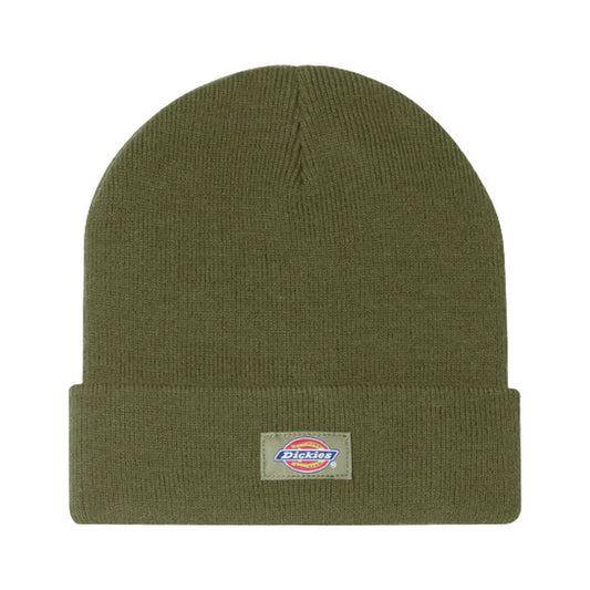 Berretti in maglia Uomo Dickies - Gibsland Beanie - Verde