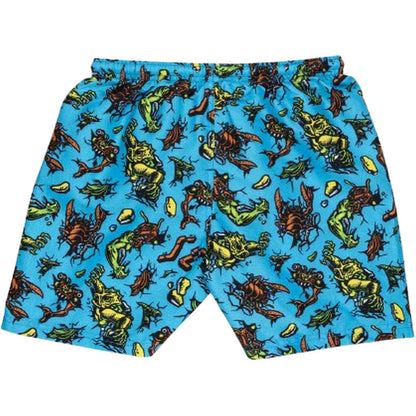 Pantaloncini e calzoncini Ragazzo Santa Cruz - Youth Roskopp Monster Swimshort - Blu