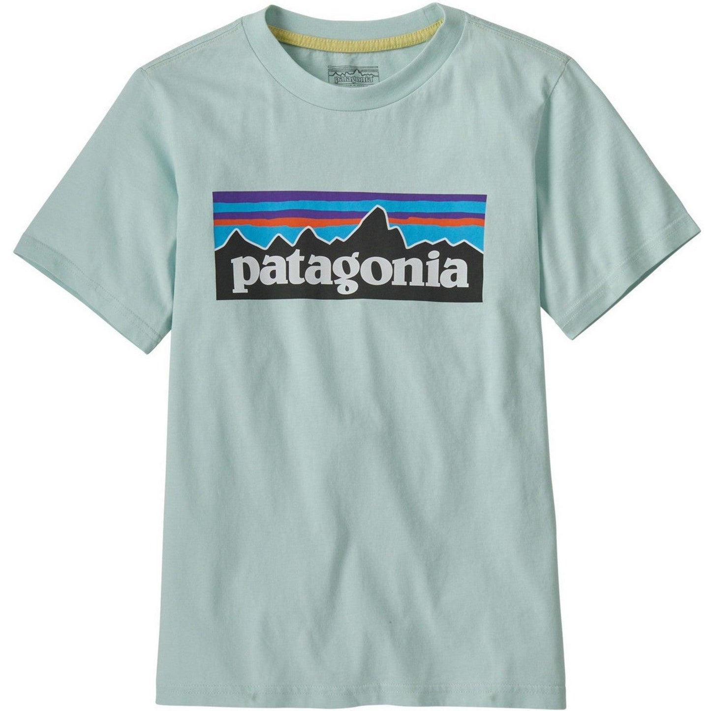 T-shirt Ragazzi Unisex Patagonia - K's P-6 Logo T-Shirt - Verde