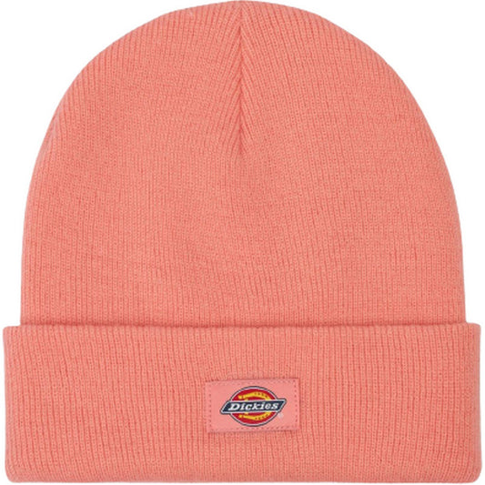 Berretti in maglia Uomo Dickies - Gibsland Beanie - Rosa