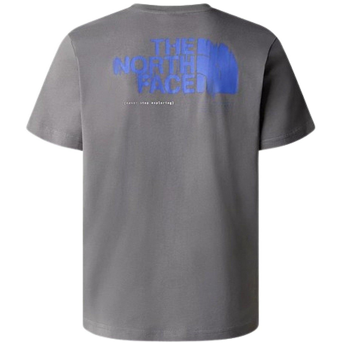 T-shirt Uomo The North Face - M Graphic S/S Tee 3 - Grigio