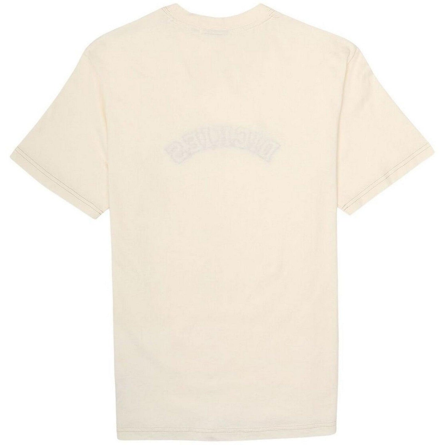 T-shirt Uomo Dickies - West Vale Tee Ss - Bianco