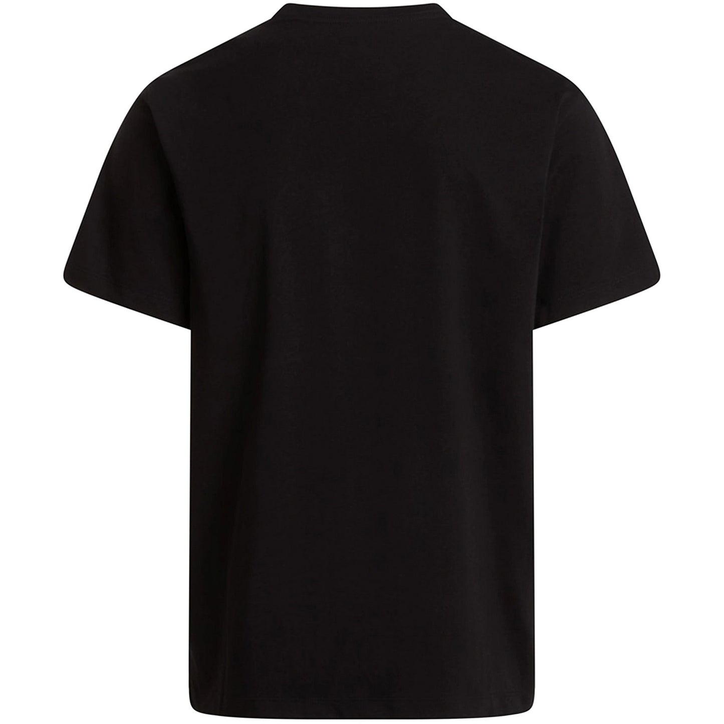 T-shirt Uomo The North Face - M Evolution Simple Dome Regular Short Sl - Nero
