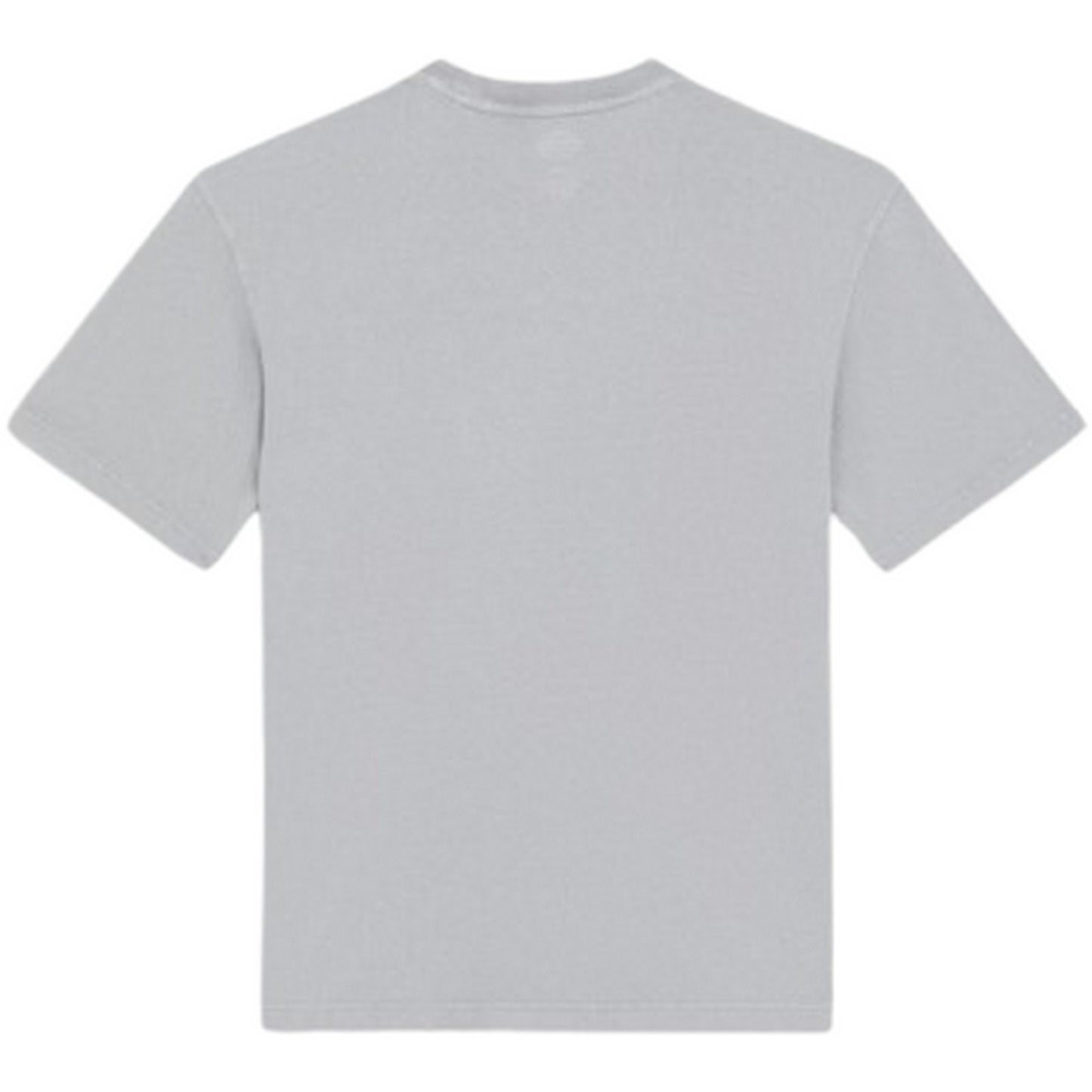 T-shirt Uomo Dickies - Plentywood Tee Ss - Grigio