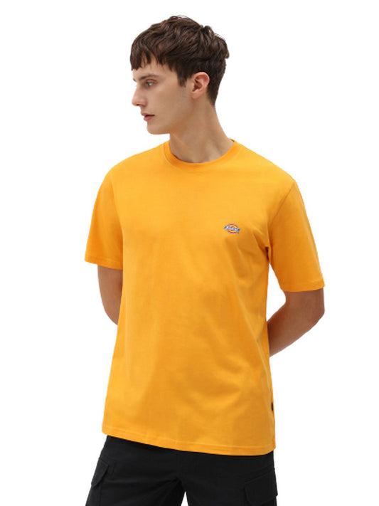 T-shirt Uomo Dickies - Ss Mapleton T-Shirt - Giallo