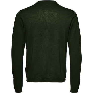 Maglie Uomo Only & Sons - Onswyler Life Reg 14 Ls Polo Knit - Verde