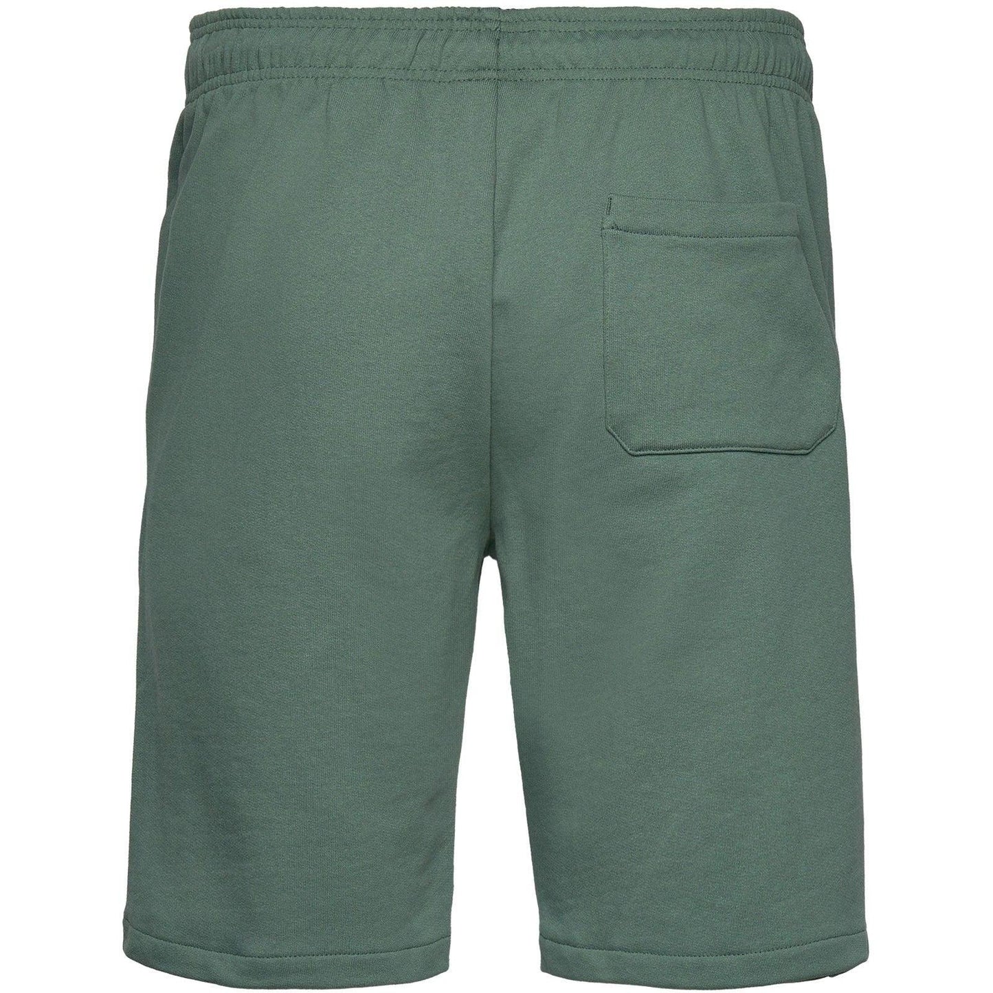 Pantaloncini Bambini Unisex Dickies - Mapleton Short Kids - Verde