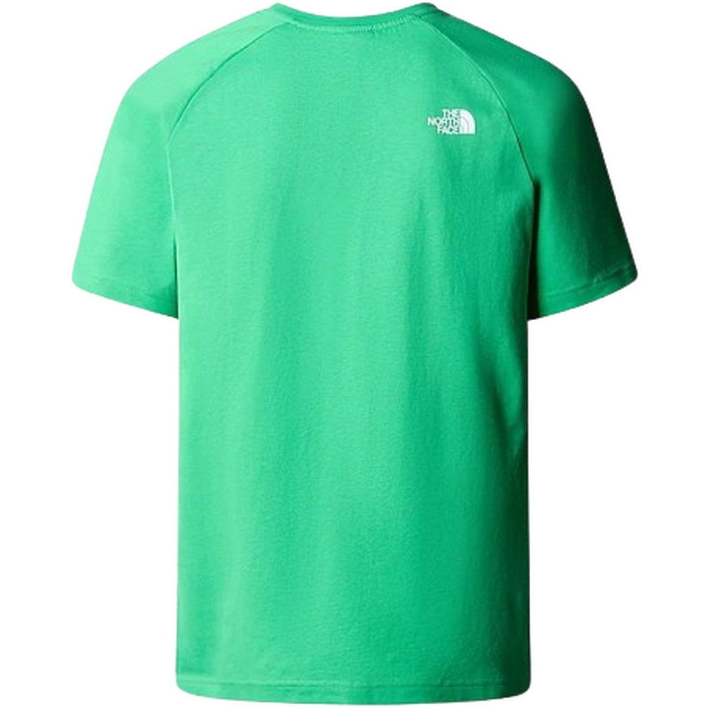 T-shirt Uomo The North Face - M S/S Raglan Redbox Tee - Verde
