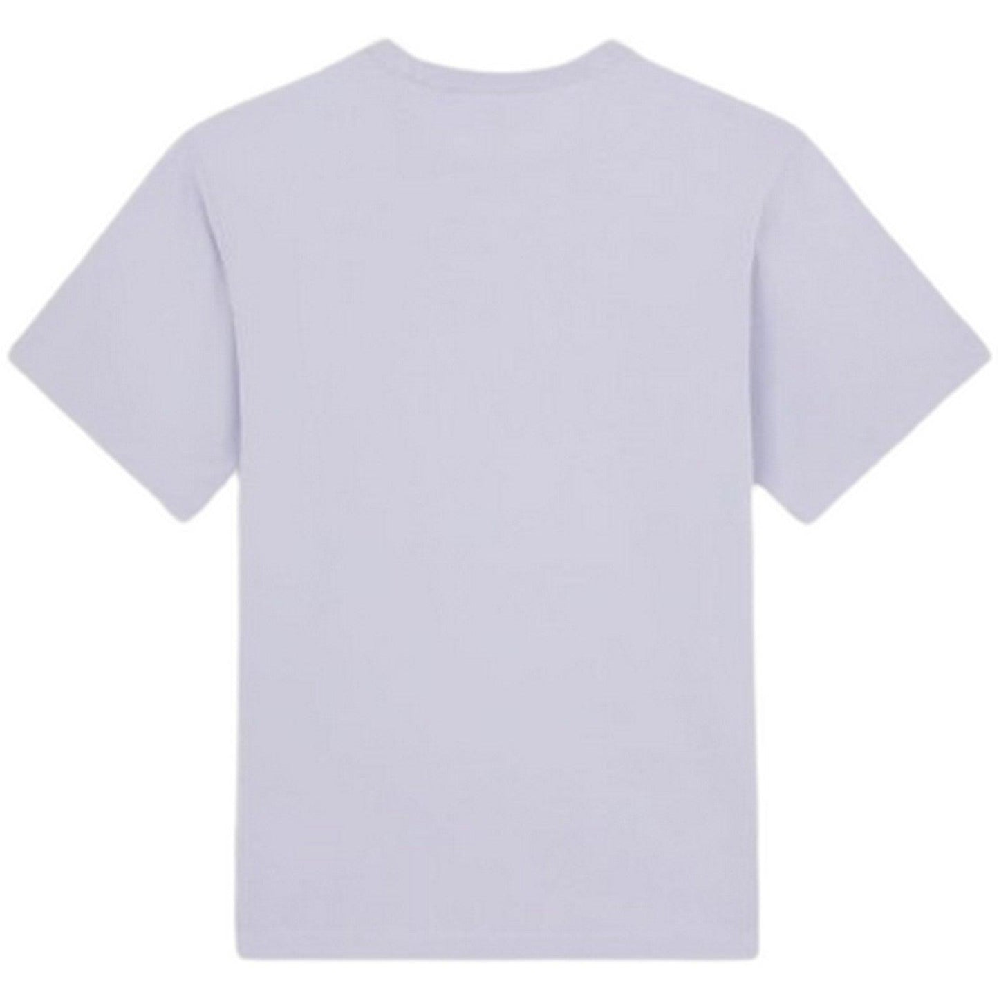 T-shirt Uomo Dickies - Aitkin Tee - Viola