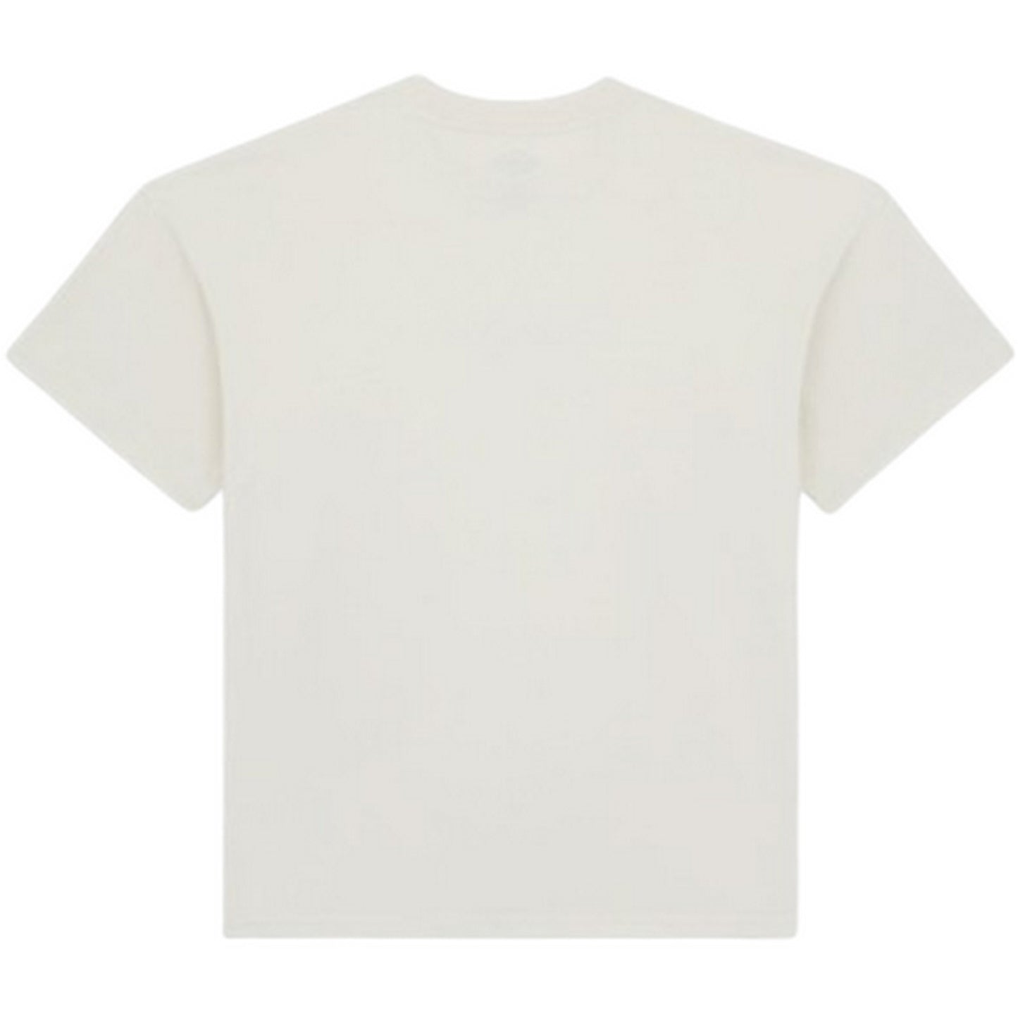 T-shirt Uomo Dickies - Enterprise Tee Ss - Bianco